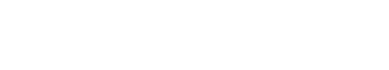 WP Multisite 文档